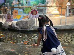 -福州罗源湾海洋世界旅游区