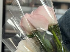 -循礼门鲜花花市(武汉循礼门店)