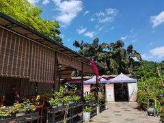 -先机泉水鸡汤(南山老君洞店)