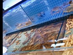-冀粤香海鲜自助餐厅(西美五洲店)