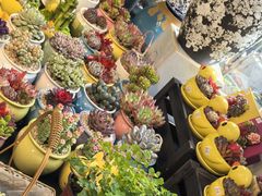 -花里花店(唐镇阳光天地店)