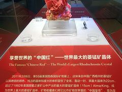 -湖南省地质博物馆