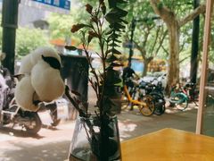 -WHEN PIGS FLY当猪飞