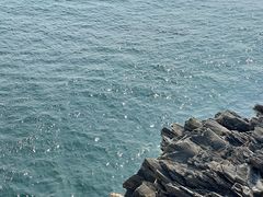 -大连金石滩滨海国家地质公园