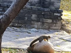 -春风习习