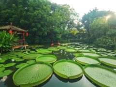 -广州莲花山旅游区