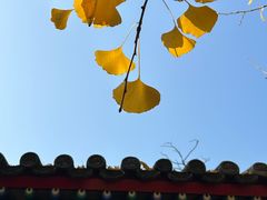 -承恩寺