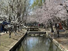 -三里河公园