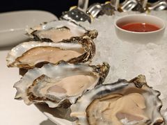 -Oyster Talks 四度蚝法餐厅