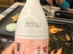 -海抱猪