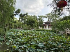 -惠州西湖风景名胜区-丰渚园