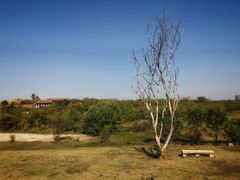 -盘龙城国家考古遗址公园