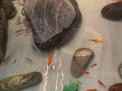 -严记小天府酸菜鱼(西四路店)