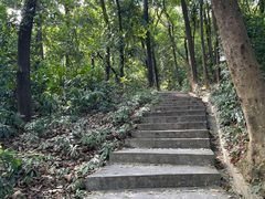 -广州市帽峰山景区