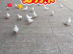 -南昌动物园