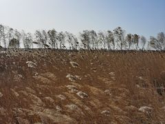 -中国人民抗日战争纪念雕塑园