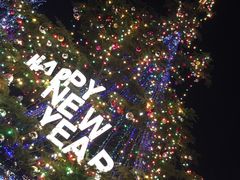 -天津津利华酒店