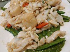 -上海雅居乐万豪侯爵酒店
