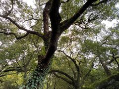 -宁波市保国寺古建筑博物馆