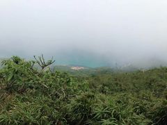 -海南铜鼓岭景区