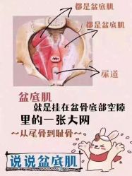 -芭贝诺产后修复(石芽岭花城店)