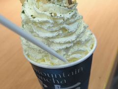 -雾与山茶(大禹城店)