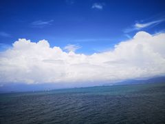 -七鲜渔港美食餐厅(巽寮湾海景店)