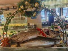 黄鳍金枪鱼-太原富力万达文华酒店·美食汇西餐厅