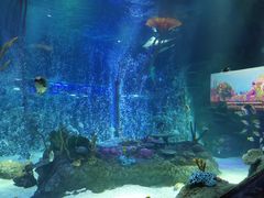 -沈阳海洋探索中心