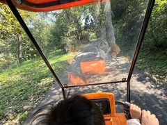 -南宁良凤江国家森林公园