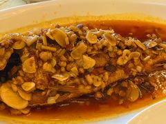 干烧大黄鱼-同和居(什刹海店)