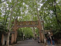 -灵谷景区