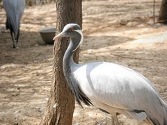 -济南野生动物世界