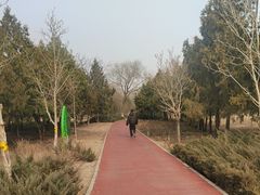 -绿堤公园