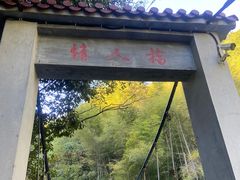 -黄山翡翠谷景区