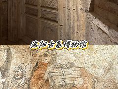 -洛阳古墓博物馆