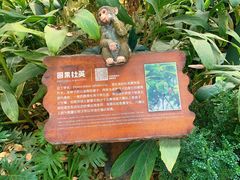 -南宫五洲植物乐园