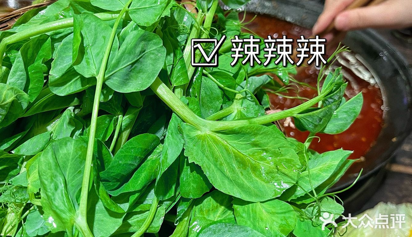 豌豆尖尖一定要吃红汤｜罗二下雪❄️了｜团购真划算