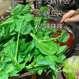 豌豆尖尖一定要吃红汤｜罗二下雪❄️了｜团购真划算