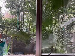 -馨月汇·一悦馨香月子中心(前滩店)