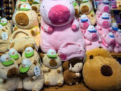 -凯德MALL(望京店)