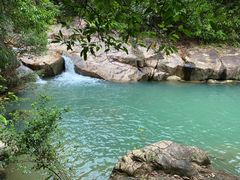 -广州白江湖森林公园