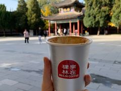 -西安碑林博物馆