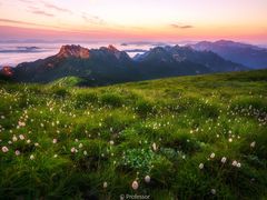 -秦岭风景区