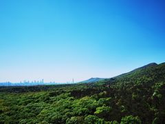 -灵谷景区