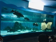 -苏州海洋馆