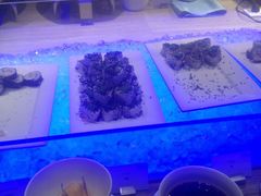 iphone_upload_pic-廊坊固安福朋喜来登酒店