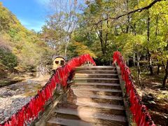 -关门山森林公园