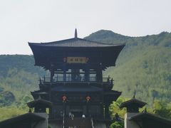-大唐贡茶院