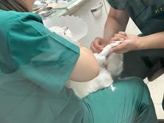 -利又安动物医院··老年病·猫科犬科·中兽医